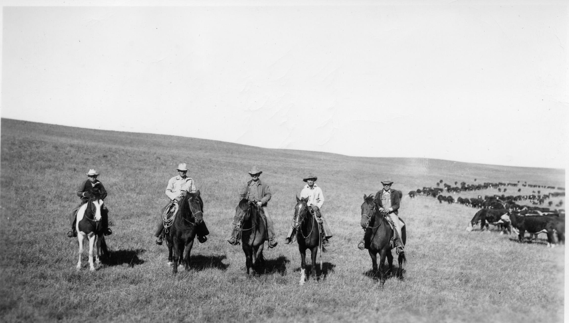 Davis Ranch Lp The History of the Davis Ranch – Flint Hills Special