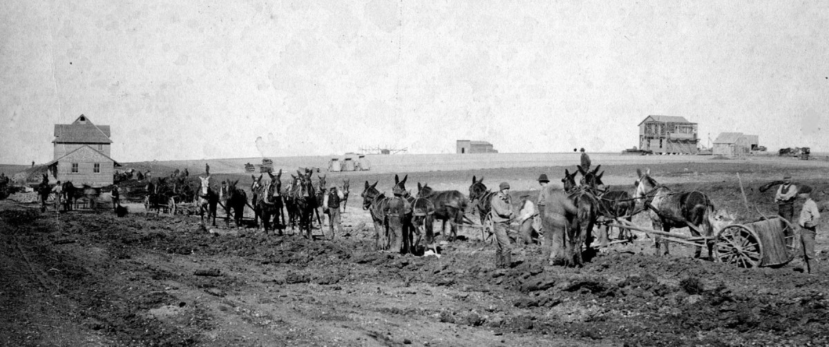 Construction of Chicago, Rock Island and Pacific Railroad, Alta Vista, Kansas