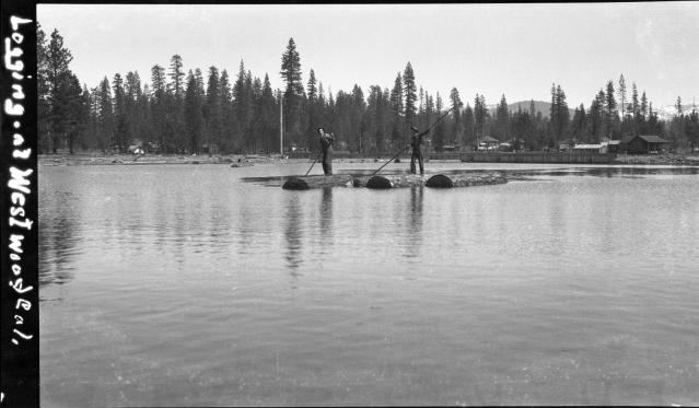 Rolling Logs - Westwood, California - 1915