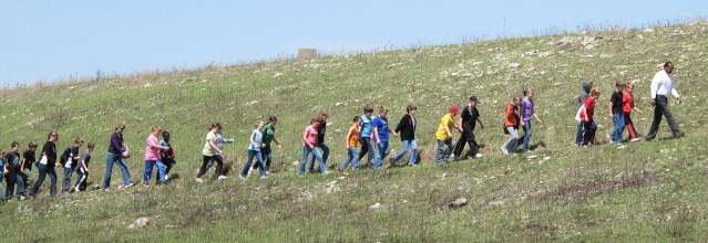 WILDFLOWER WALK ON MOUNT MITCHELL