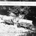 Oscar Fauerbach Hauling Water for Steam Threshing Machine
