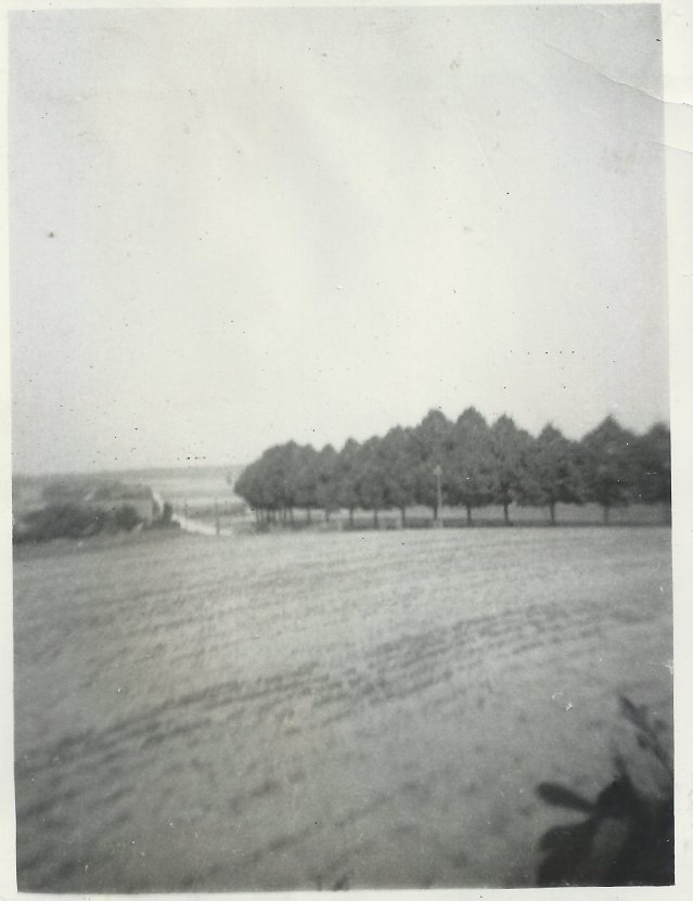 Picture of the roadblock