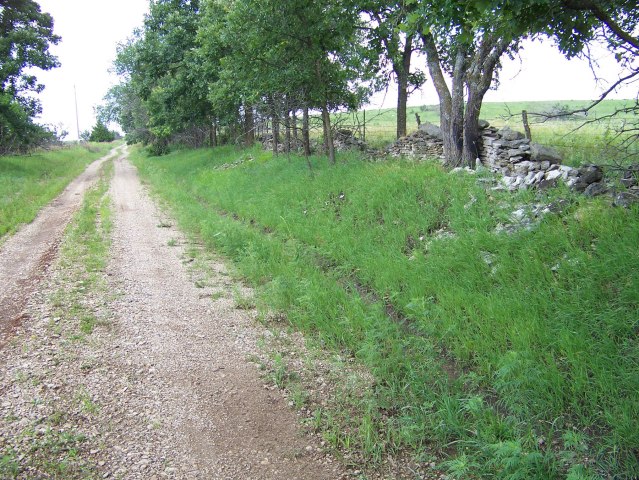 001scene of the crime